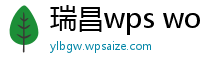 瑞昌wps word文档公式